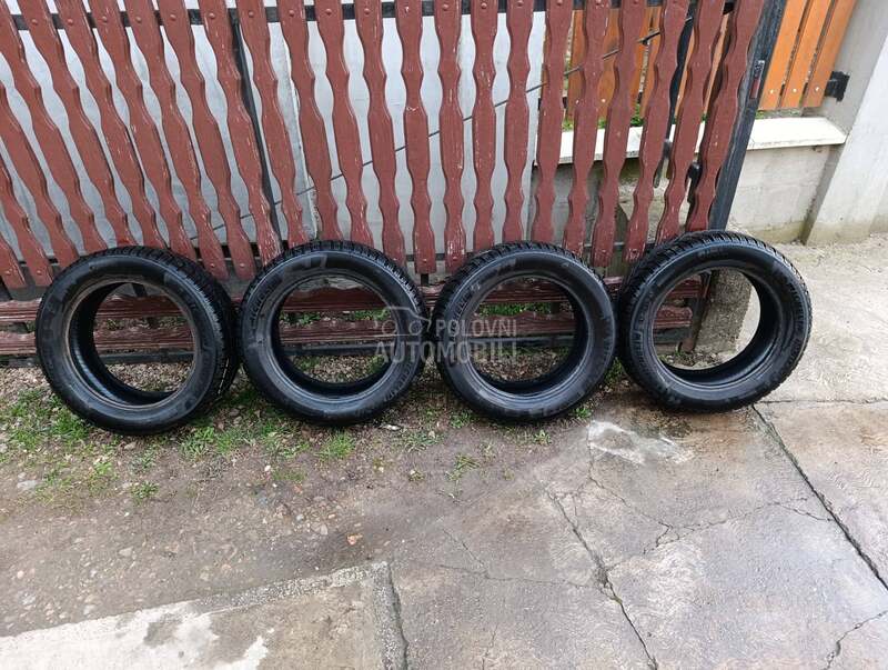 Michelin 205/55 R16 Sve sezone