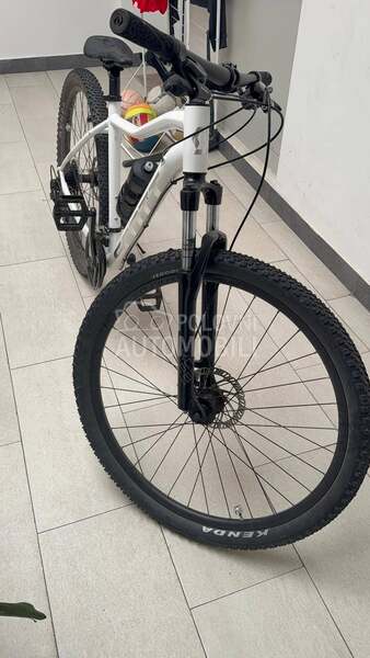 Scott Contessa active 50