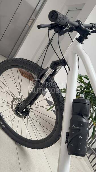 Scott Contessa active 50