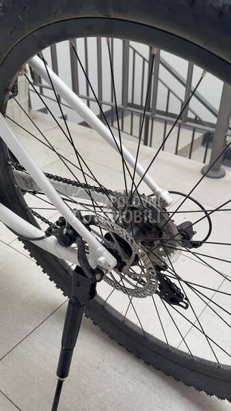 Scott Contessa active 50