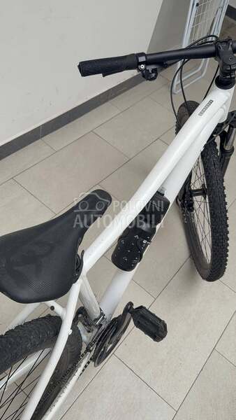 Scott Contessa active 50