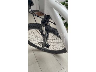 Scott Contessa active 50