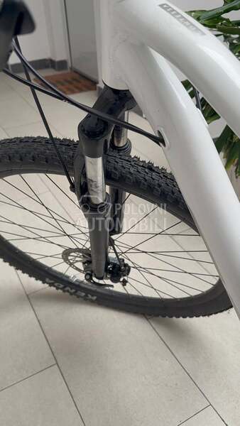 Scott Contessa active 50