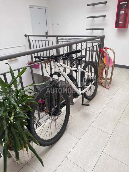 Scott Contessa active 50