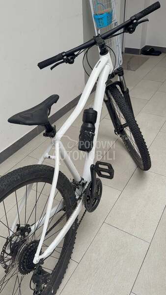 Scott Contessa active 50