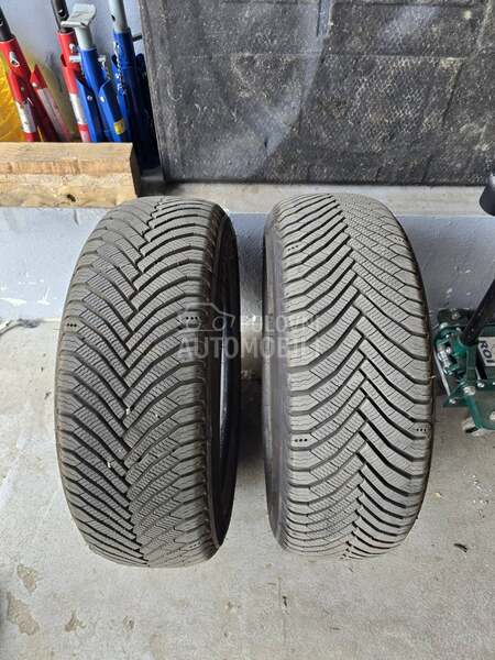 Michelin 205/55 R16 Sve sezone
