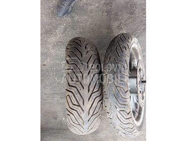 To ckovi prednji i zadnji