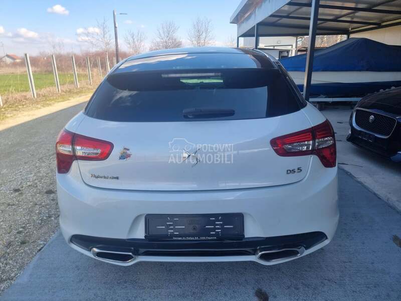 DS 5 HDI HY