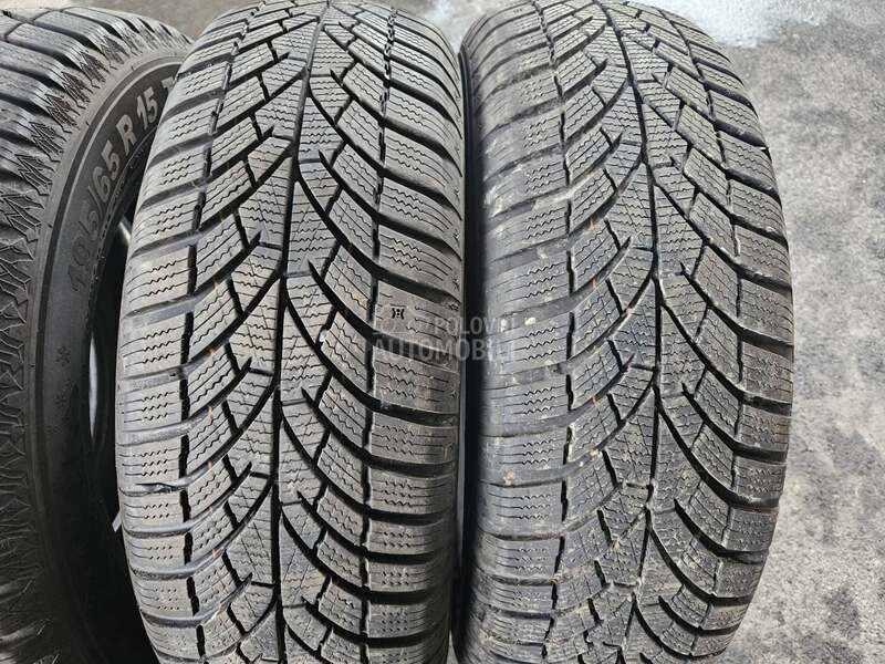 Semperit 195/65 R15 Zimska