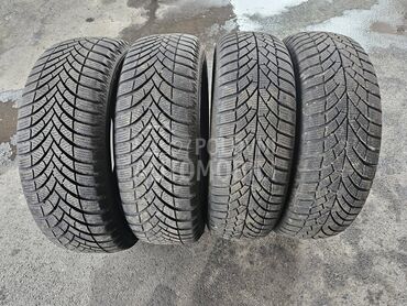 Semperit 195/65 R15 Zimska
