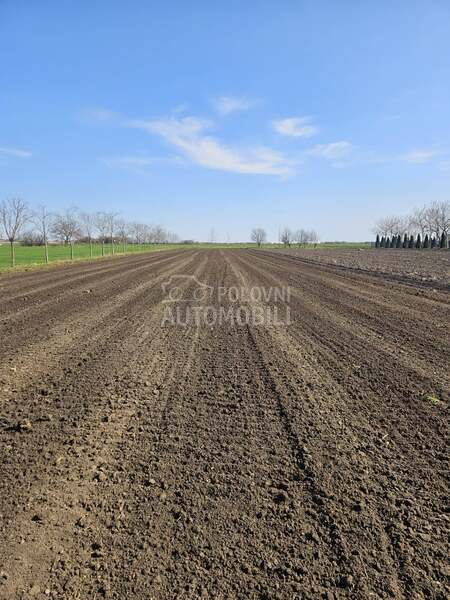 Spapperi Drljaca 4 m