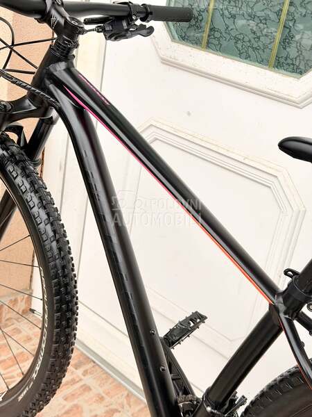 Specialized Rockhopper 29