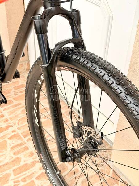 Specialized Rockhopper 29