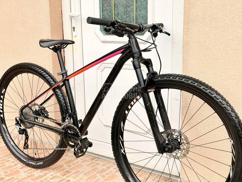 Specialized Rockhopper 29