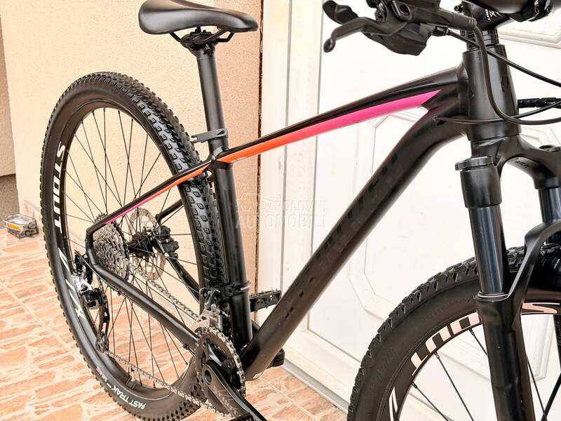 Specialized Rockhopper 29