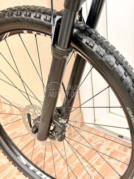 Specialized Rockhopper 29