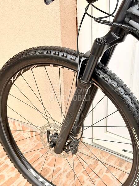 Specialized Rockhopper 29