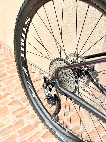 Specialized Rockhopper 29