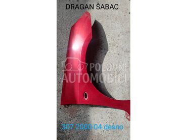 Blatobran i krilo za Peugeot 307 od 1996. do 2012. god.