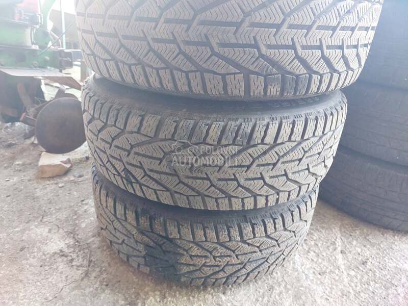 Riken 205/60 R16 Zimska