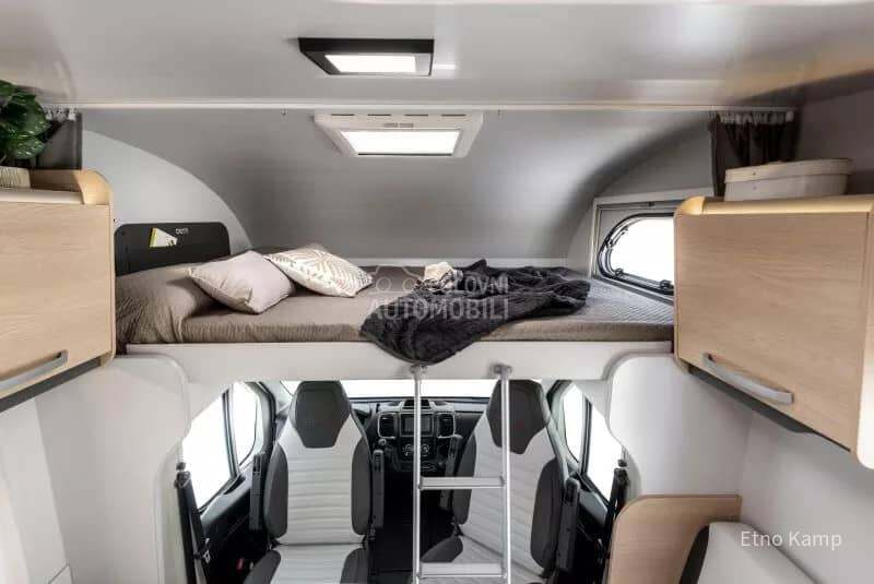 Giottiline Siena 485