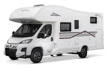 Giottiline Siena 485