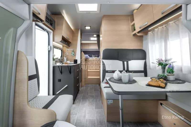 Giottiline Siena 485