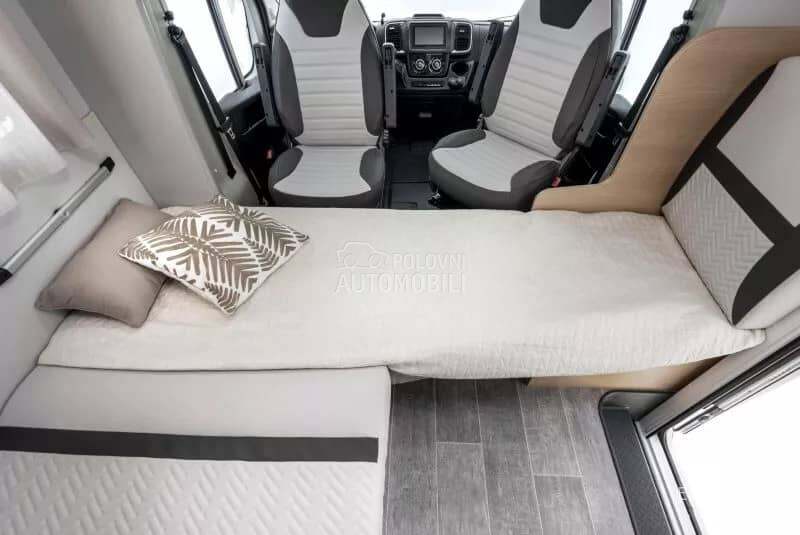 Giottiline Siena 485