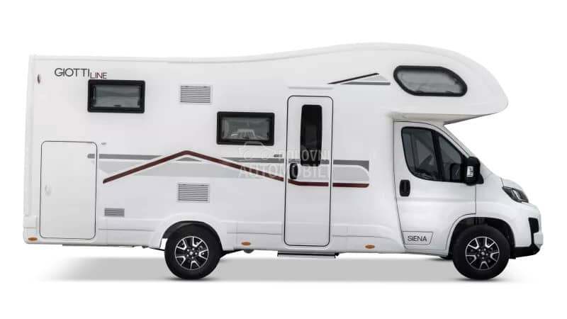 Giottiline Siena 485