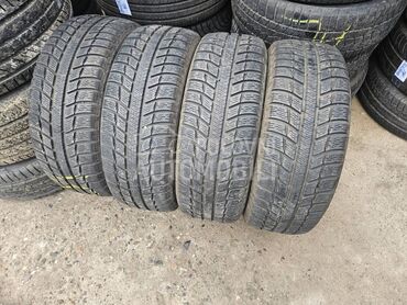Michelin 195/55 R16 Sve sezone