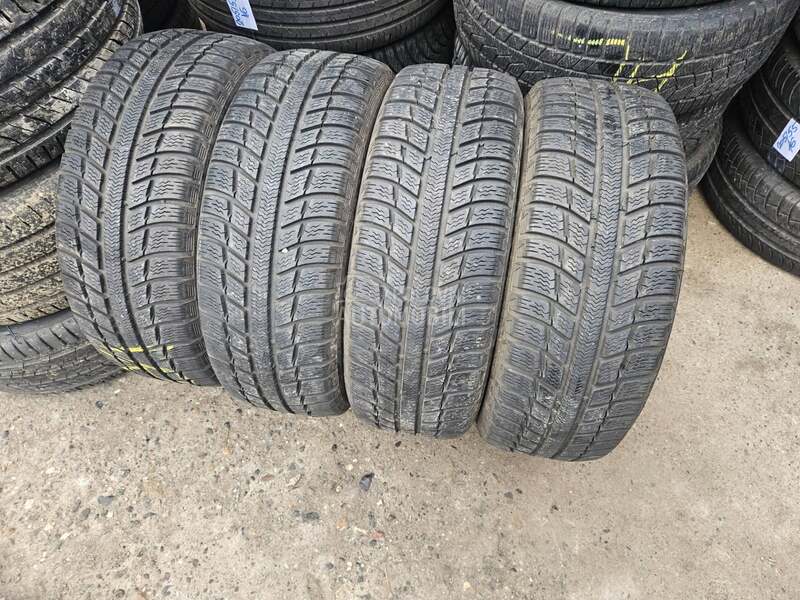 Michelin 195/55 R16 Sve sezone