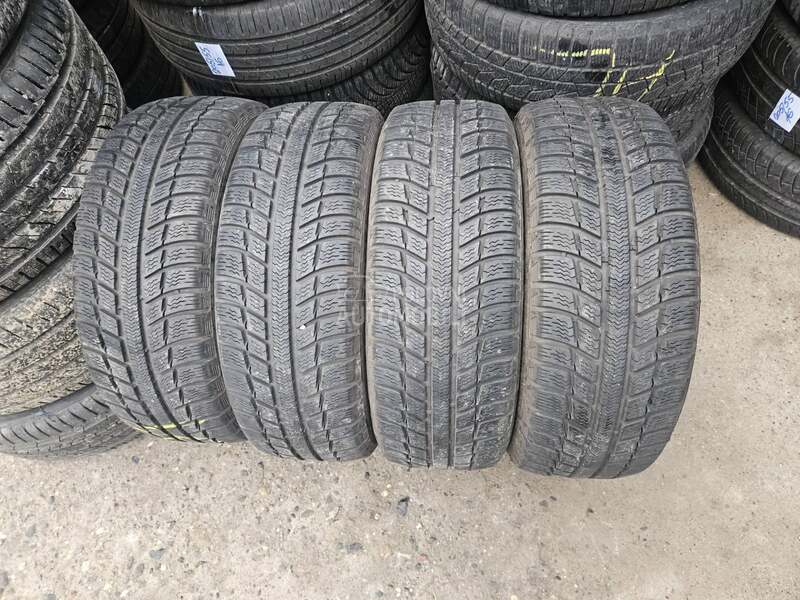 Michelin 195/55 R16 Sve sezone