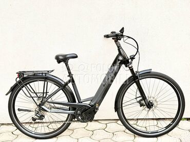 Bulls Cross smart 28