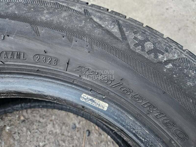 Nexen 225/65 R16 Sve sezone