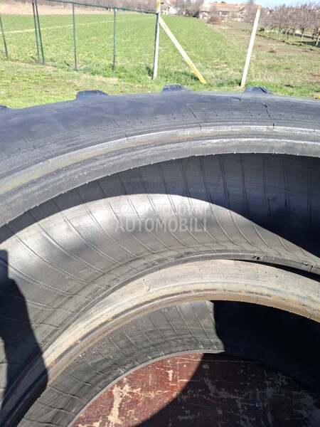 Belarus Belsina 16,9 r38