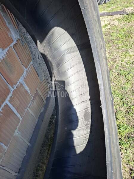 Belarus Belsina 16,9 r38