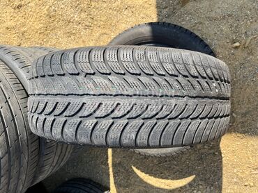 Sava 205/55 R16 Zimska