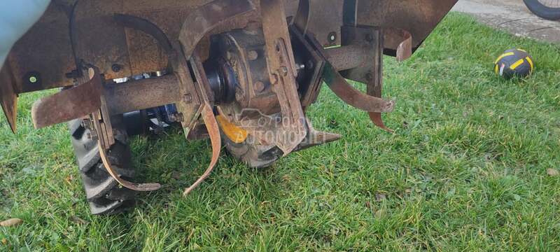 Muta Gorenje muta gorenje