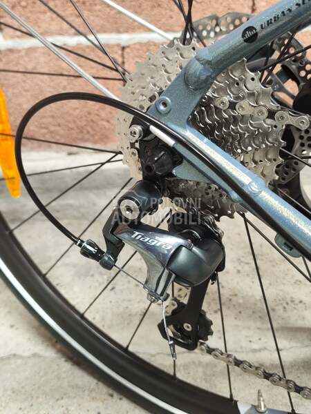 Bergamont Sweep 6 2x10 full Tiagra