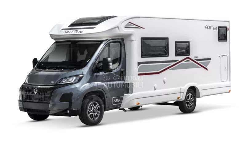 Giottiline Siena 396