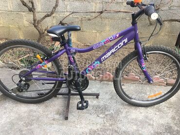 Oktagon 240 Ljubicasti