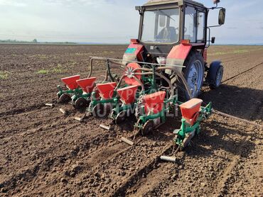 Nodet Pneumassem 6 redna