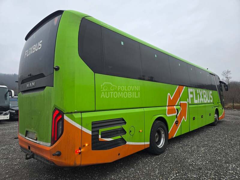 MAN Lions Coach R010