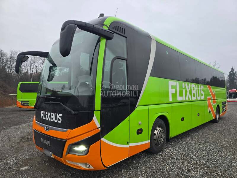 MAN Lions Coach R010