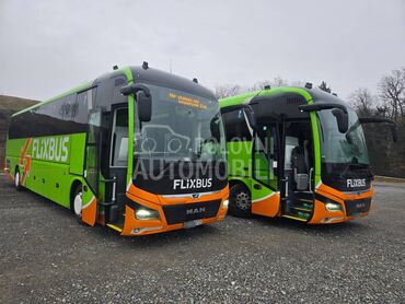 MAN Lions Coach R010