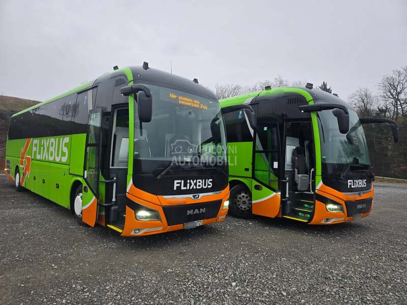 MAN Lions Coach R010