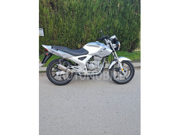 Honda Cbf 250