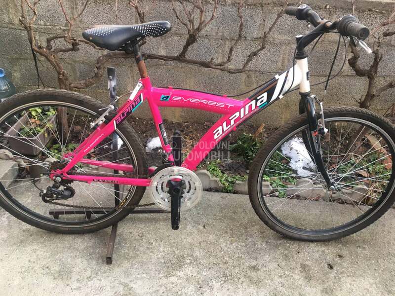 Alpina Everest 260 Roze