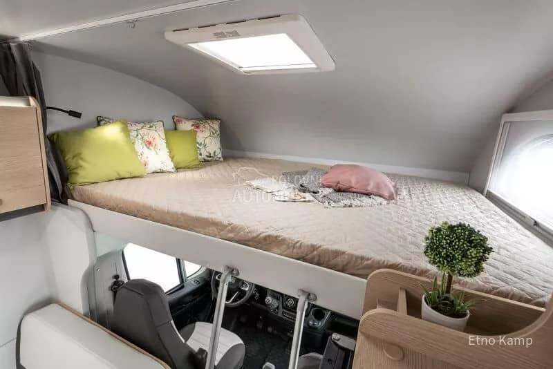 Giottiline Siena 440