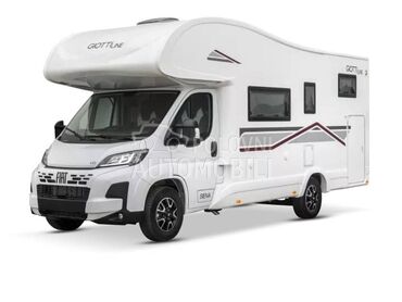 Giottiline Siena 440